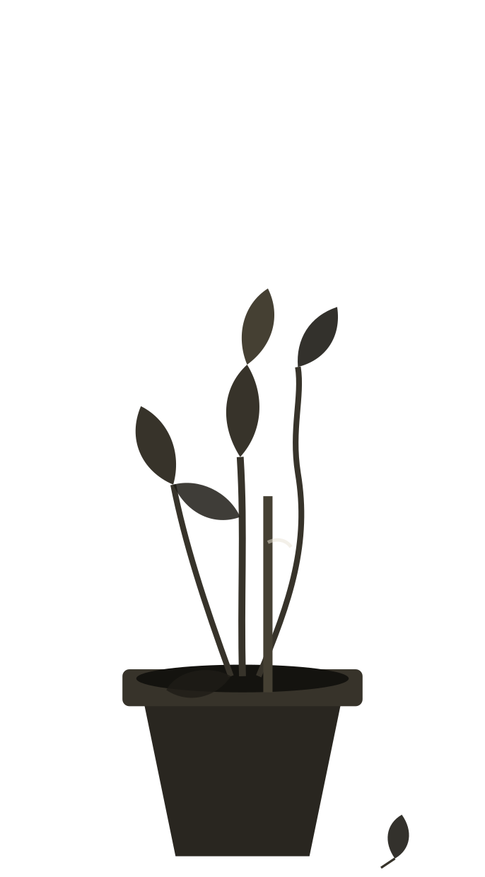 plant